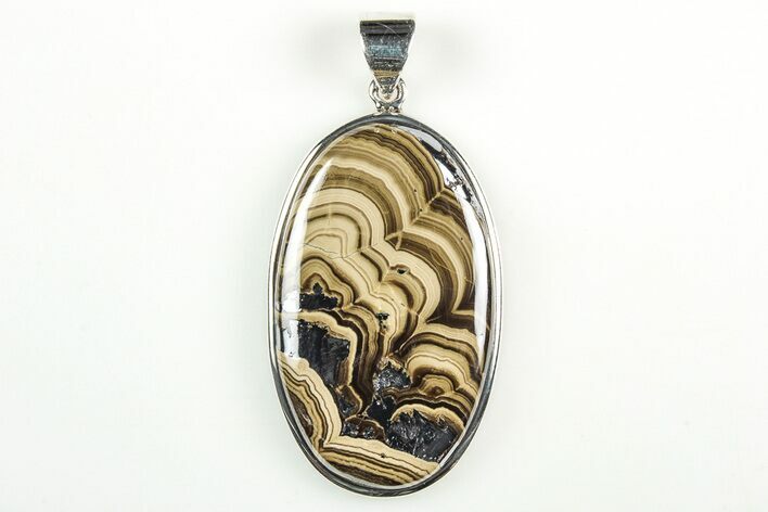 Polished Schalenblende Pendant (Necklace) - Sterling Silver #206283